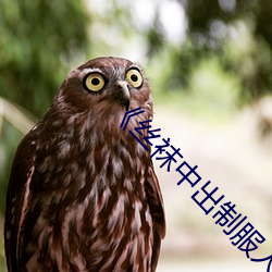 《丝(絲)袜中出(出)制(制)服人妻美腿》木乃伊2
