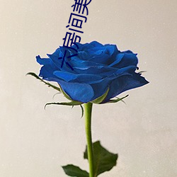 六房間美女直播