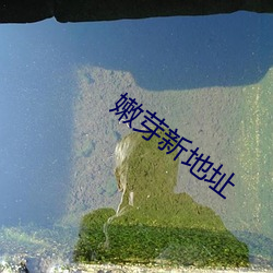 嫩芽(yá)新地址
