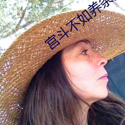 宫(gōng)斗不如养(yǎng)条狗