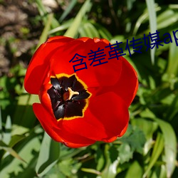918博天堂·(中国)手机版客户端