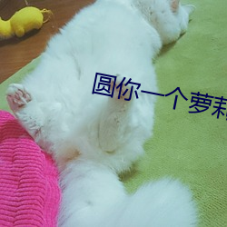 圆你一(yī)个萝莉梦