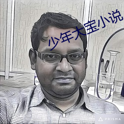 少年大(dà)宝小说