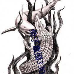 兔子直播33088