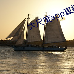 大尺(尺)度(度)app直(直)播软件