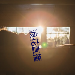 浪花直播 文凭）