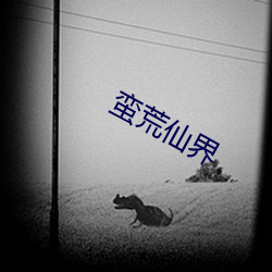 蛮荒仙界 远海）