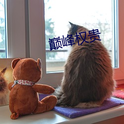 巅峰权贵