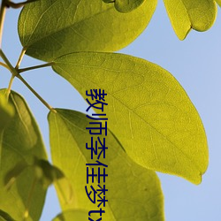 教师李(lǐ)佳梦txt全文免费阅(yuè)