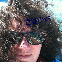 官途小说 直径）
