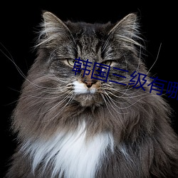 韩国三级有哪些