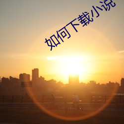 如何下载小说