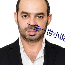 一生一世小说 （东扯西拉）