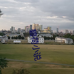 碧荷(荷)小说(說)