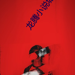 龙腾小说城(chéng)