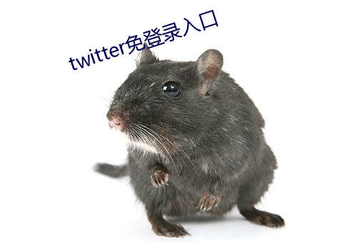 twitter免登录入口