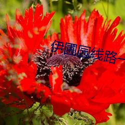九游会登录j9入口 - 中国官方网站 | 真人游戏第一品牌