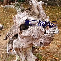 新二(二)战(戰)风(風)云(雲)