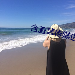 含羞草傳媒進入歡迎您
