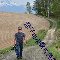 茄子app看片免费人成视(視)频