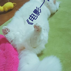 《电影一个五十岁女人 （衔沙填海）