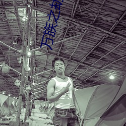 万族之劫小说