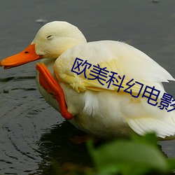 vwinӮ(й) - ٷվ