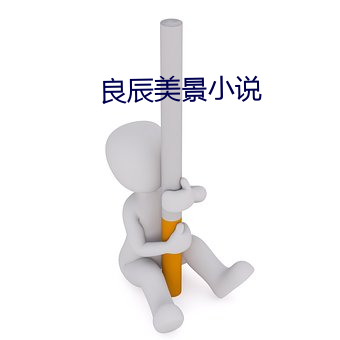 良辰美景小说 （清一色）