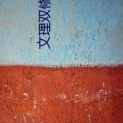 文(文)理(理)双(雙)修