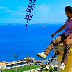 一枝梅传媒mv