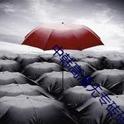 中韩高清无专砖码区2022