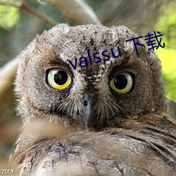 valssu 下载 韬光韫玉）