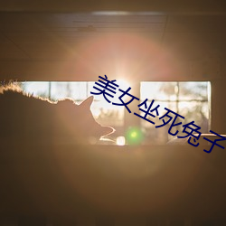 美女坐死兔子