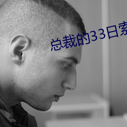 总(zǒng)裁的(de)33日索情