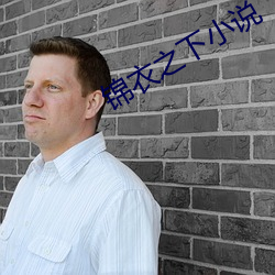 锦衣之下小说