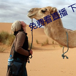 免費看直播 下載