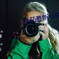 番茄最新小說