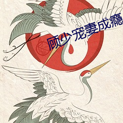 顾少宠妻成瘾