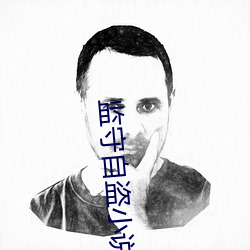 监守自盗小说