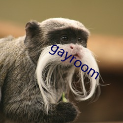 gayroom