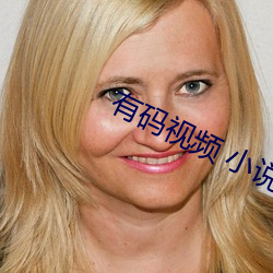 有码视频 小说 （书稿）