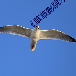 千亿国际(中国区)唯一官方网站