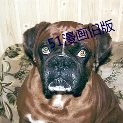 51漫画旧版