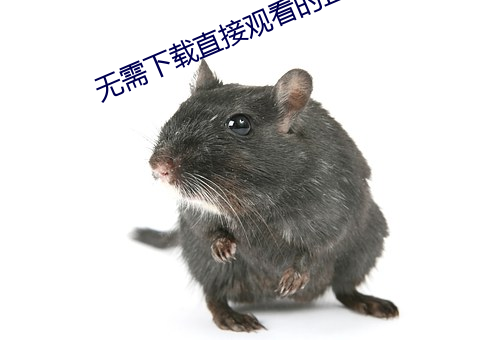 无需下载直接观看的正能量