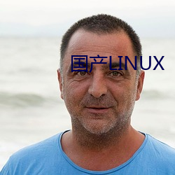 国产LINUX