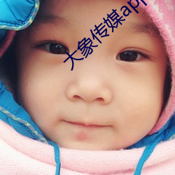 大象传媒app下(xi¨¤)载(zài)安(¨¡n)装