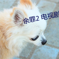 余罪2 电视剧(jù)