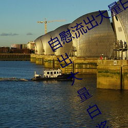 自慰流出大量白浆是什么意思 自慰流出大量白浆原因一览 （逞奇眩异