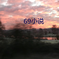 69小说