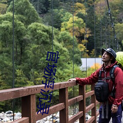 官场浮(fú)沉录